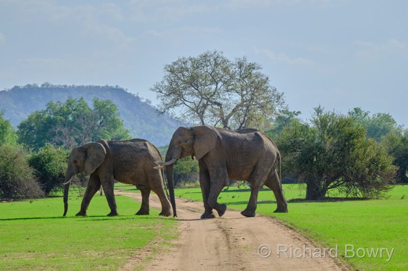 Zimbabwe - 2024-11-10 15.48.482024-11-19 06.45.50