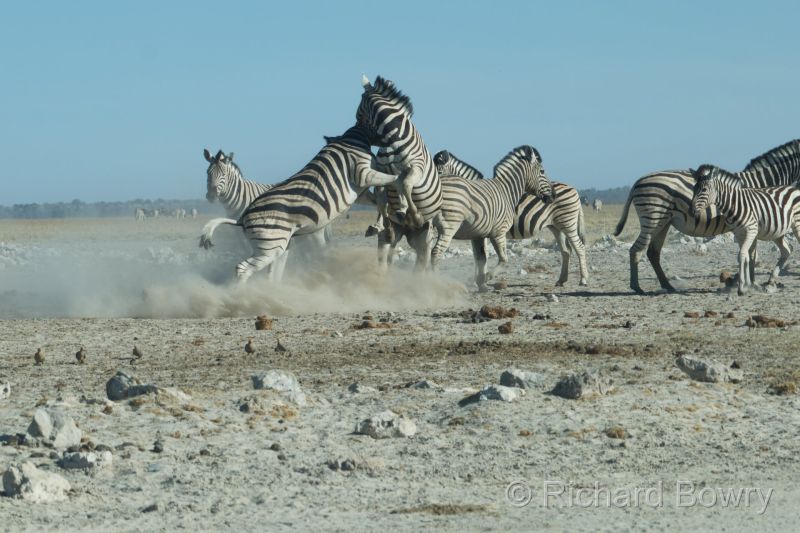 Namibia - 2024-10-31 08.23.572024-11-19 06.40.53 1