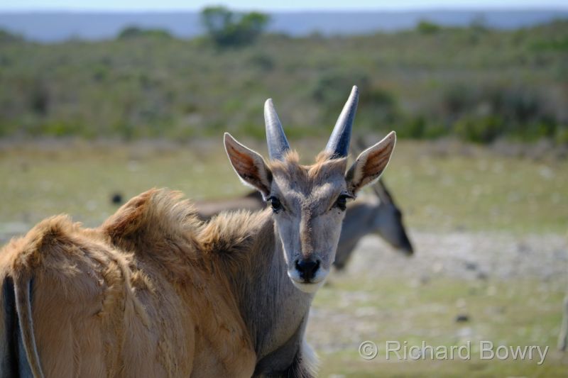 Cape Agulhas at 2025-10-23 15.04.34