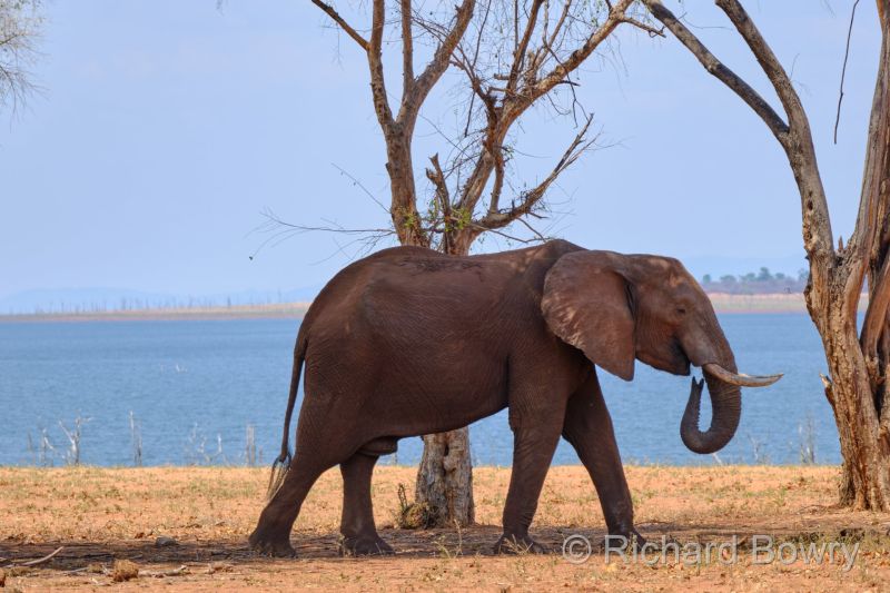 Zimbabwe on 26-11-22 at 13-30-53