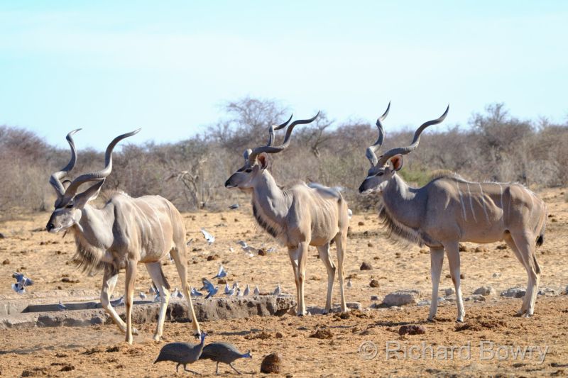 Namibia - 2024-11-01 08.20.262024-11-19 06.41.30