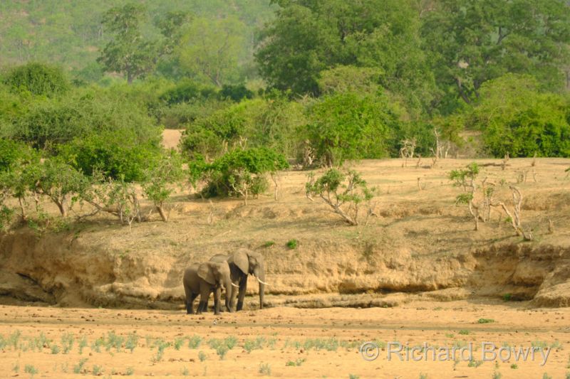 Zimbabwe - 2024-11-12 15.34.012024-11-19 06.46.29