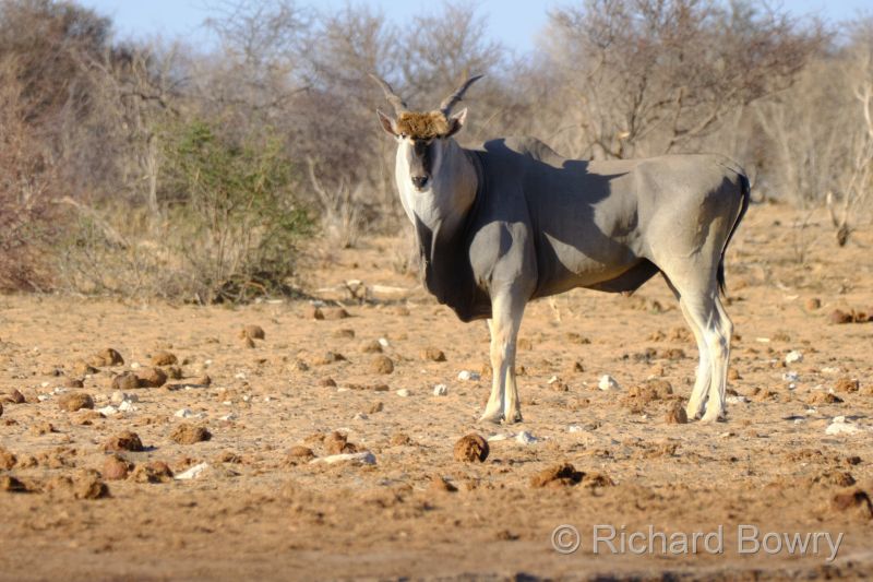 Namibia - 2024-11-01 17.37.072024-11-19 06.41.38