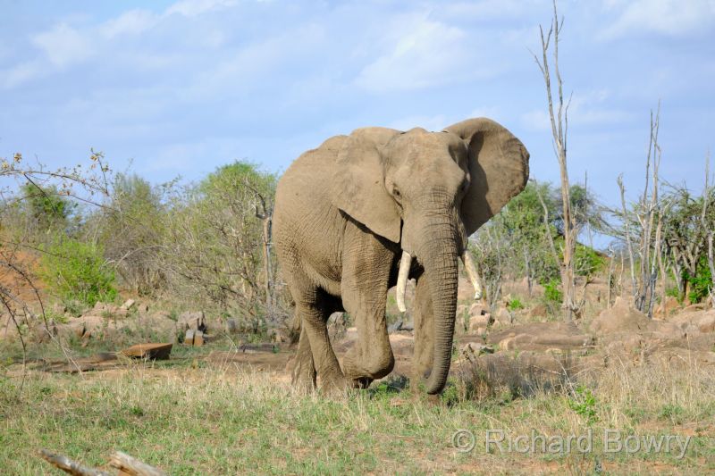 Zimbabwe - 2024-11-08 15.25.232024-11-19 06.45.26