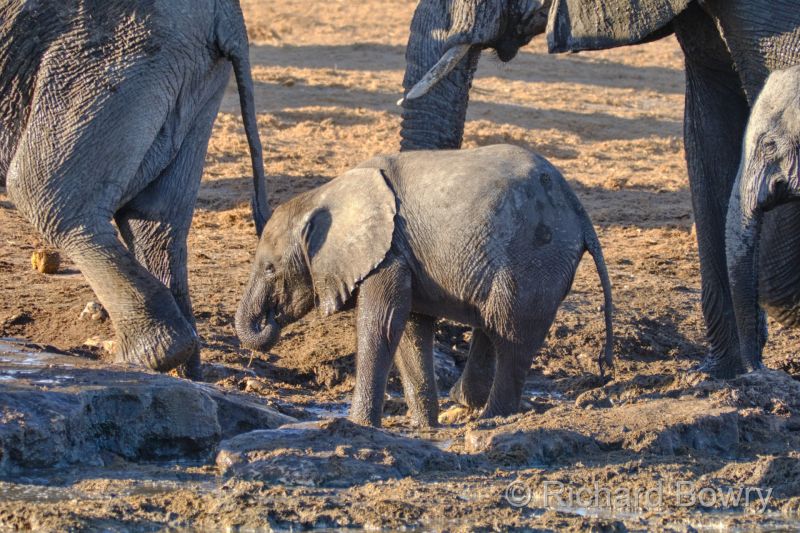 Namibia - 2024-10-31 17.50.542024-11-19 06.41.23