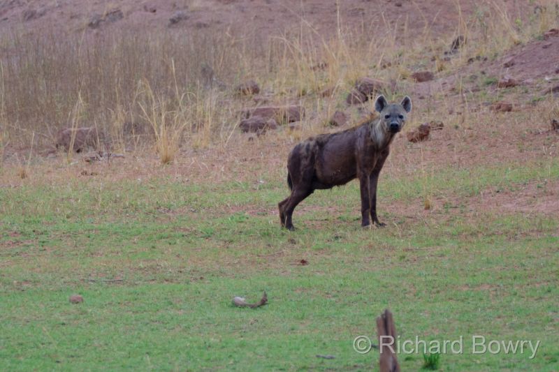 Zimbabwe on 28-11-22 at 16-21-58