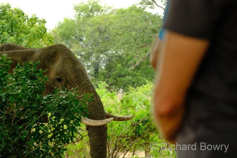 Zimbabwe - 2024-11-12 12.25.492024-11-19 06.46.22