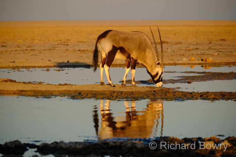 Namibia - 2024-10-31 06.26.262024-11-19 06.40.47