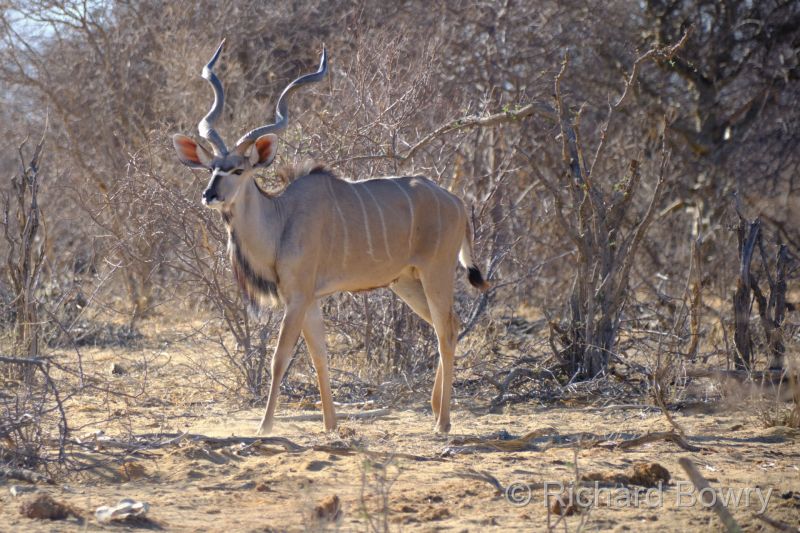 Namibia - 2024-11-01 08.09.512024-11-19 06.41.29