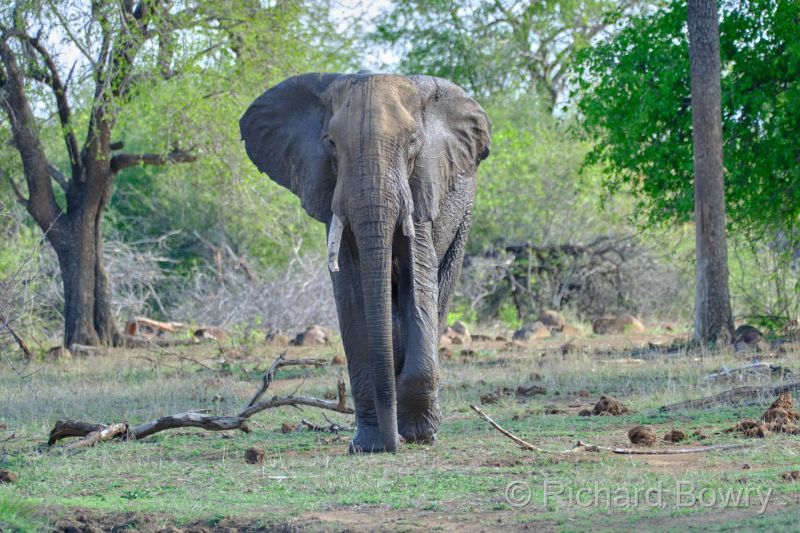 Zimbabwe - 2024-11-08 15.45.462024-11-19 06.45.28