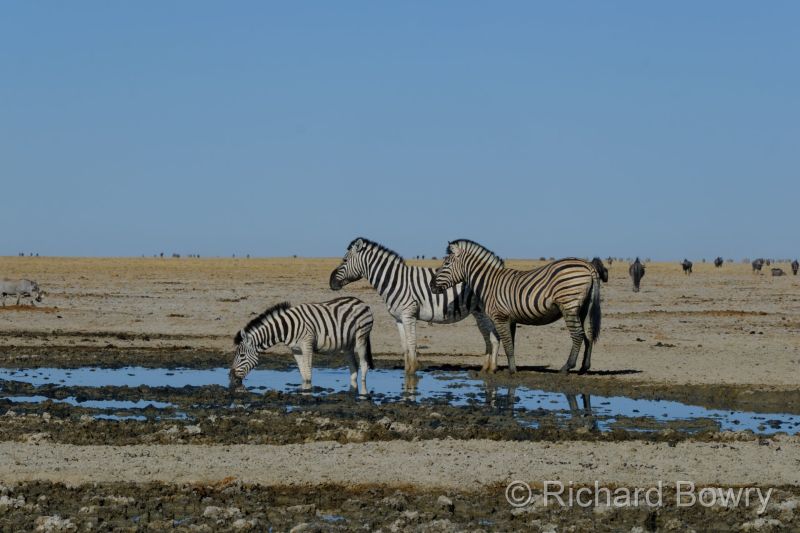 Namibia - 2024-10-31 08.18.412024-11-19 06.40.52