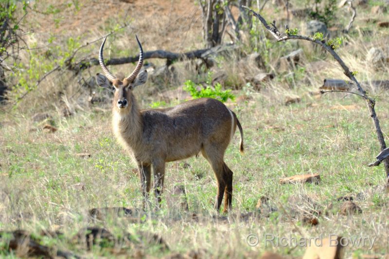 Zimbabwe - 2024-11-08 15.14.272024-11-19 06.45.25