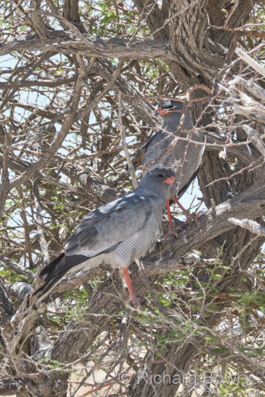 Namibia - 2024-10-29 13.22.572024-11-19 06.40.28