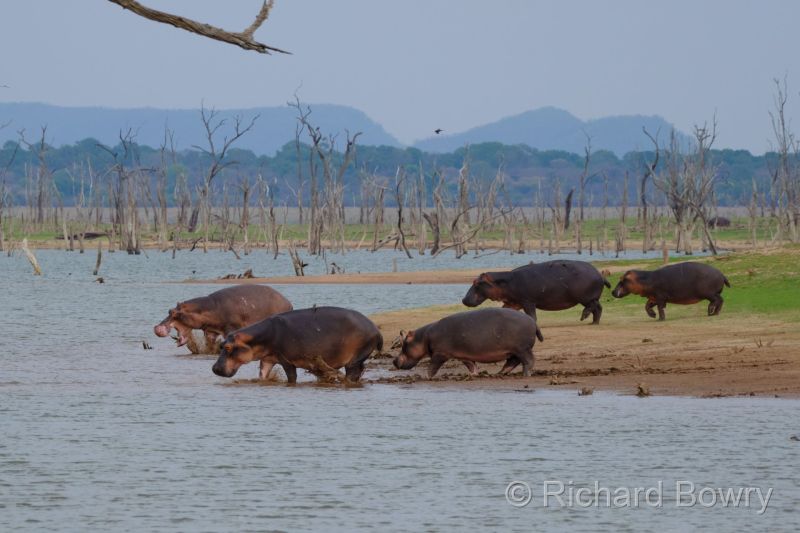 Zimbabwe on 27-11-22 at 15-13-29