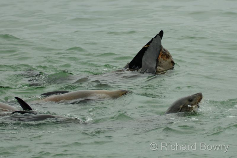 Namibia - 2024-10-24 10.21.082024-11-19 06.39.01