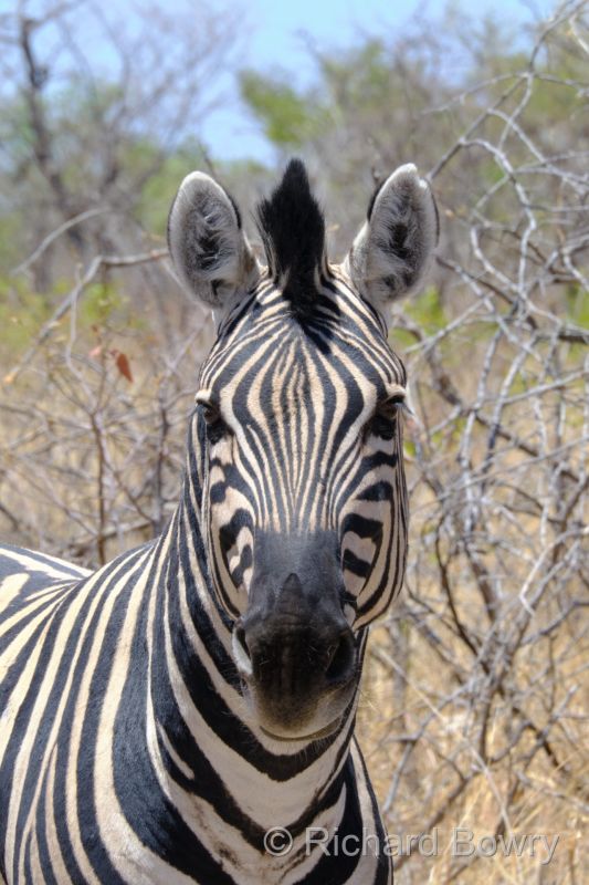 Namibia - 2024-10-30 11.48.092024-11-19 06.40.38