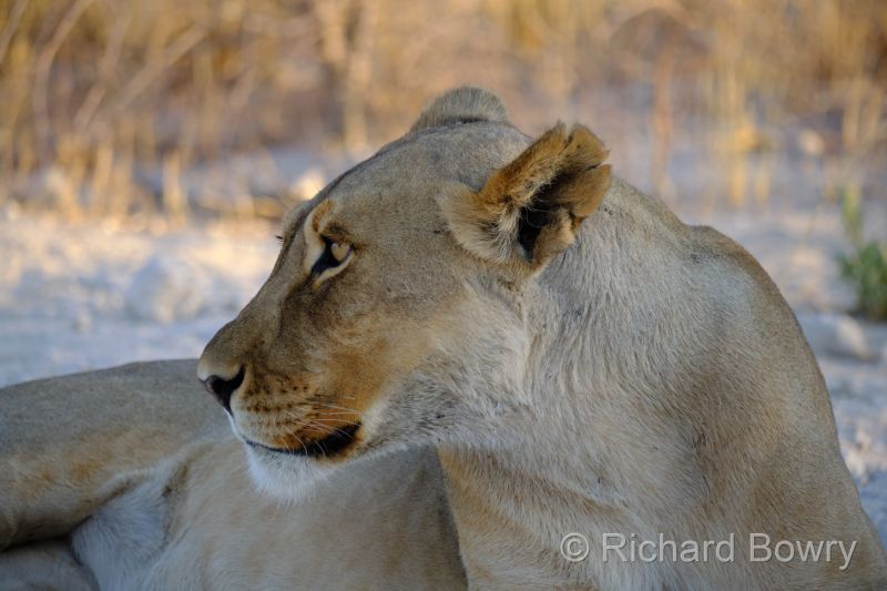 Namibia - 2024-11-01 18.31.522024-11-19 06.41.42