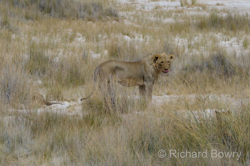Namibia - 2024-10-30 10.14.102024-11-19 06.40.35