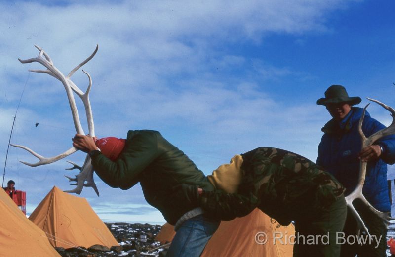 Svalbard (75 of 112)