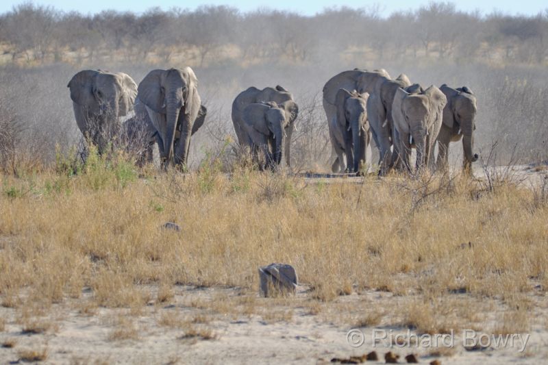 Namibia - 2024-10-31 17.15.362024-11-19 06.41.12