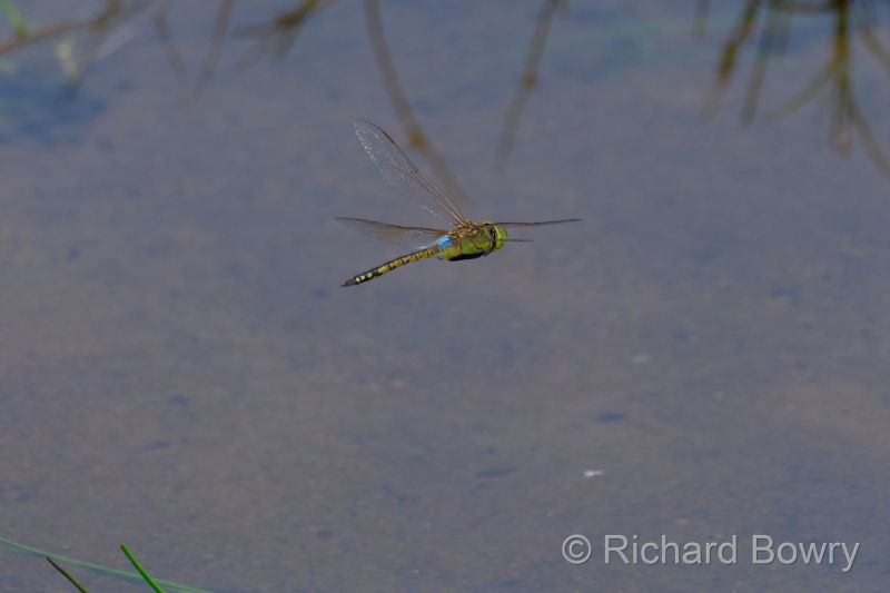 Zimbabwe - 2024-11-07 11.58.172024-11-19 06.45.01