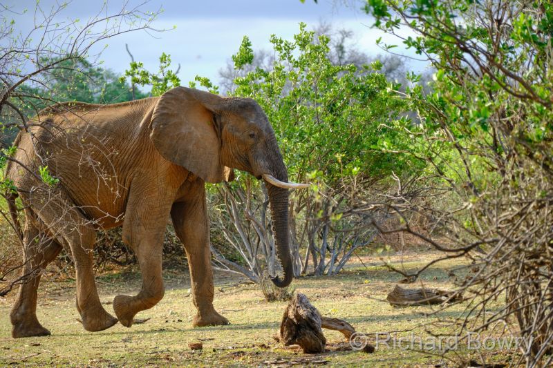 Zimbabwe - 2024-11-06 15.56.492024-11-19 06.44.50