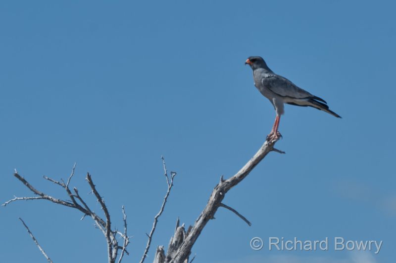 Namibia - 2024-10-30 10.02.072024-11-19 06.40.34