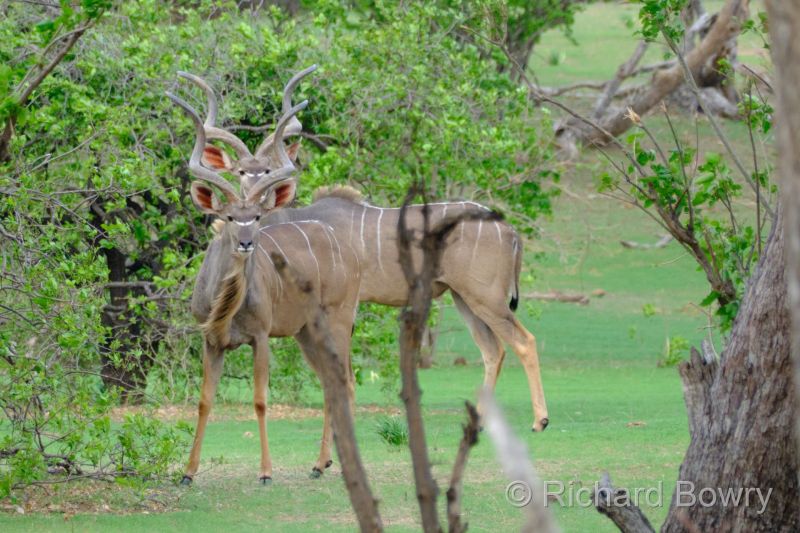 Zimbabwe - 2024-11-11 17.18.382024-11-19 06.46.05