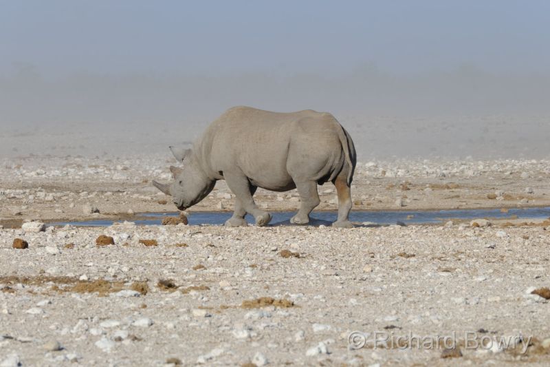 Namibia - 2024-10-28 17.22.122024-11-19 06.40.01