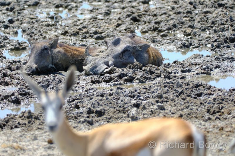 Namibia - 2024-10-31 14.21.542024-11-19 06.40.57