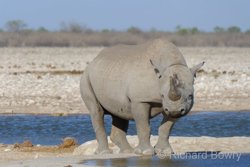 Namibia - 2024-10-28 17.20.342024-11-19 06.40.00