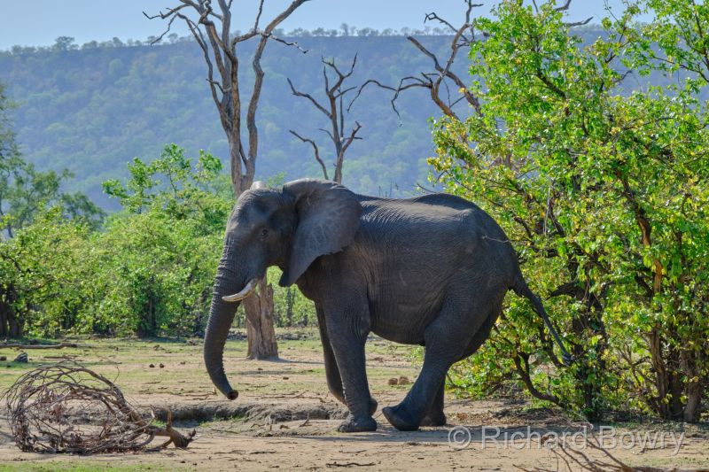 Zimbabwe - 2024-11-10 08.02.432024-11-19 06.45.38