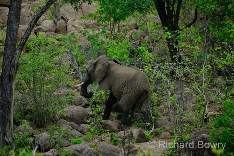Zimbabwe - 2024-11-12 05.38.462024-11-19 06.46.09