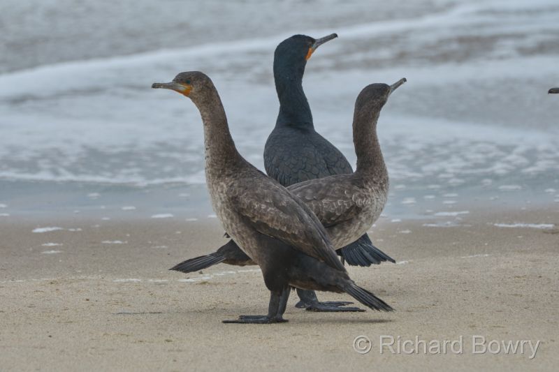 Namibia - 2024-10-24 09.55.012024-11-19 06.38.58