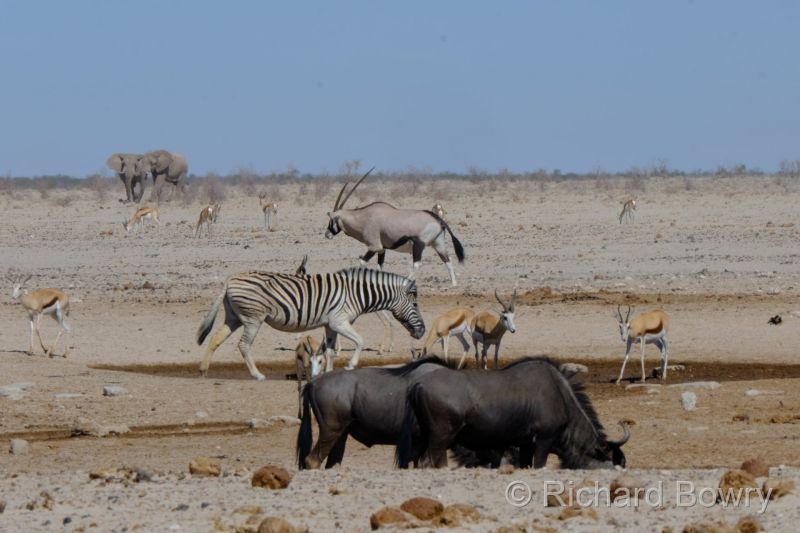 Namibia - 2024-10-29 09.45.102024-11-19 06.40.13