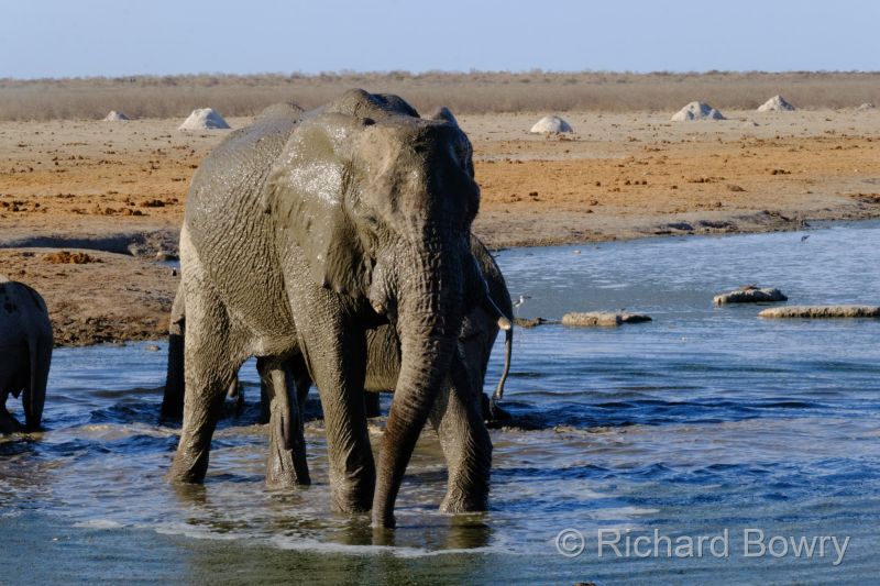 Namibia - 2024-10-31 17.30.582024-11-19 06.41.18