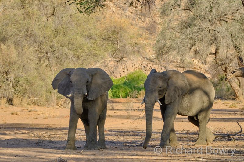 Namibia - 2024-10-26 18.02.472024-11-19 06.39.32