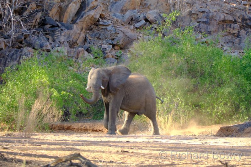 Namibia - 2024-10-26 17.56.002024-11-19 06.39.30