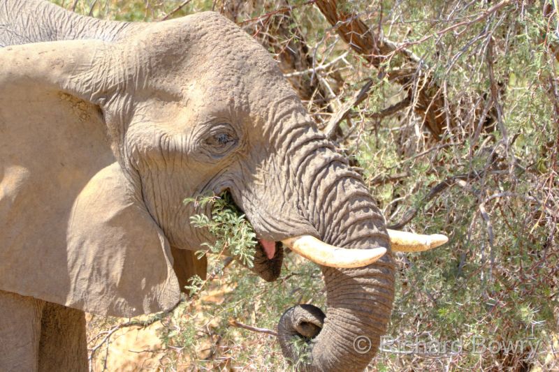 Namibia - 2024-10-27 10.41.422024-11-19 06.39.43