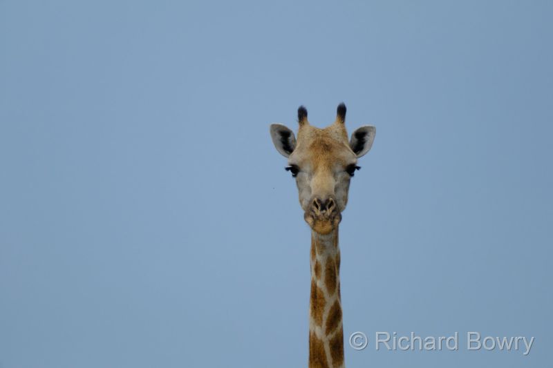 Zimbabwe on 06-12-22 at 09-03-44