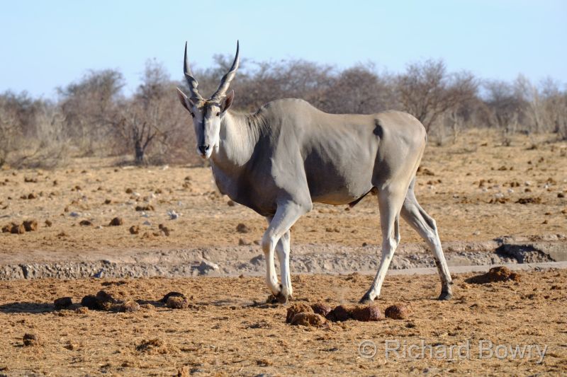 Namibia - 2024-11-01 07.58.142024-11-19 06.41.28