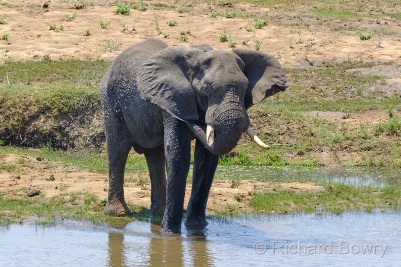 Zimbabwe - 2024-11-10 12.57.112024-11-19 06.45.48