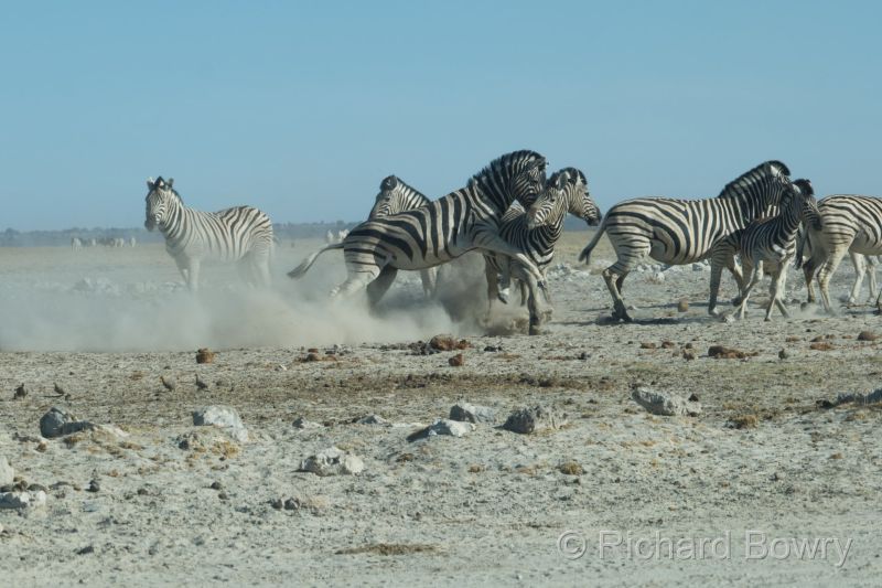 Namibia - 2024-10-31 08.23.582024-11-19 06.40.53