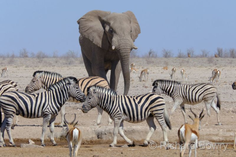 Namibia - 2024-10-29 09.52.172024-11-19 06.40.14