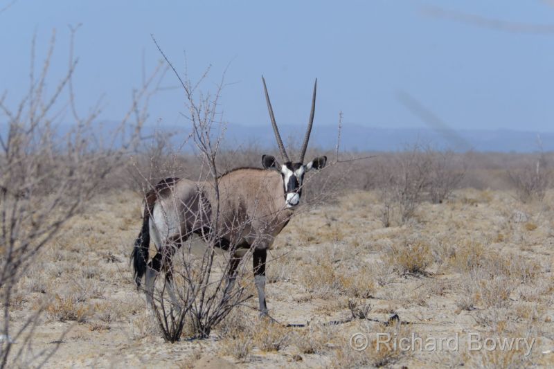 Namibia - 2024-10-29 09.39.382024-11-19 06.40.12