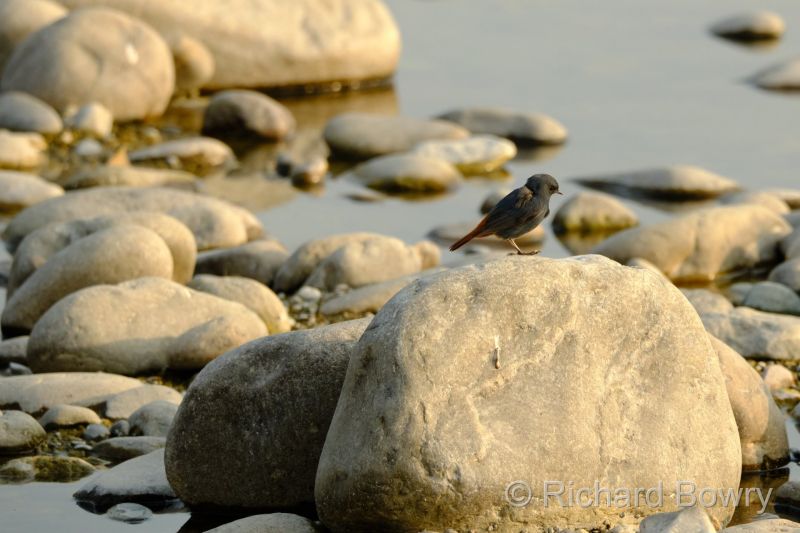 Corbett at 2026-02-02 16.41.14