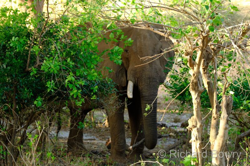 Zimbabwe - 2024-11-07 16.46.172024-11-19 06.45.09