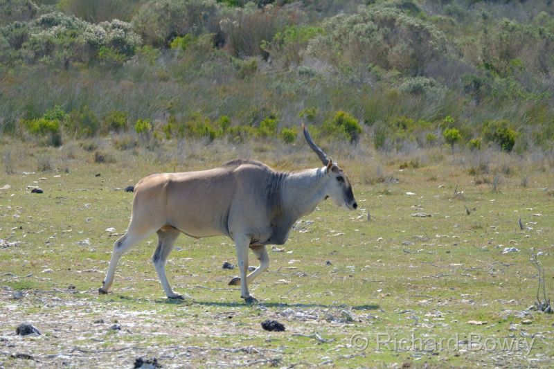 Cape Agulhas at 2025-10-23 15.02.56