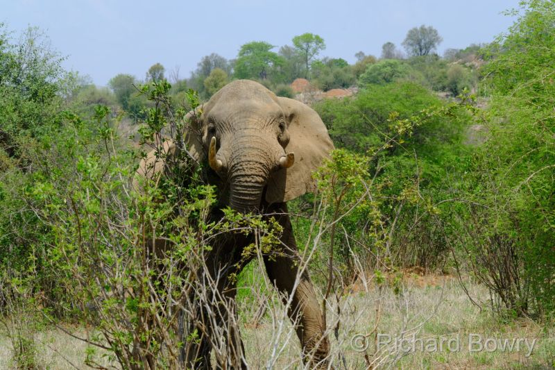 Zimbabwe - 2024-11-11 10.01.532024-11-19 06.45.57