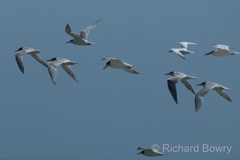 Namibia - 2024-10-24 14.26.342024-11-19 06.39.15